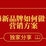 出海品牌年度营销方案